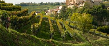anello-barolo-monforte-barolo-17 anello-barolo-monforte-barolo-17