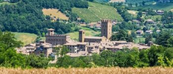 d276190742 d276190742