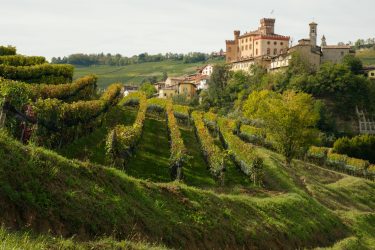 anello-barolo-monforte-barolo-17